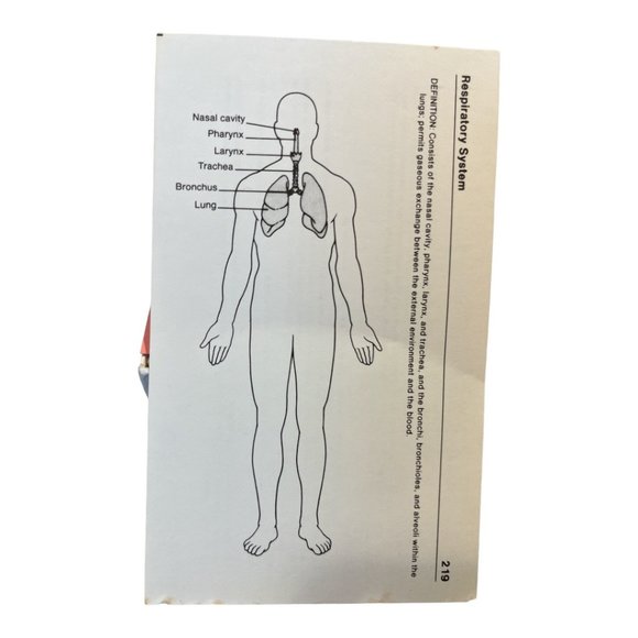 Study Cards HUMAN ANATOMY 300 3x5" Illustrated Flash Cards Medical Dental - Picture 3 of 8